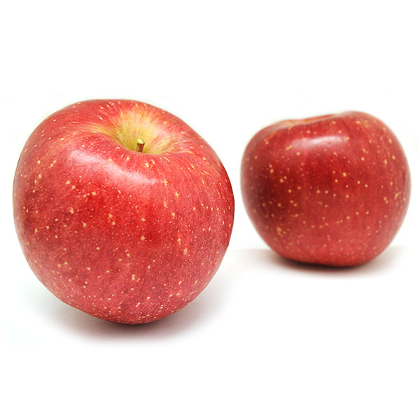 철원 민통선 내 부사사과 5kg-최상등급[2019년 11월 출하시작]/사과선물/사과농장/맛잇는 사과