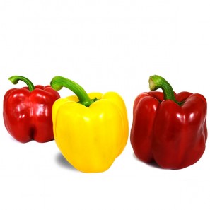 (특대LL-선물용)5kg-철원민들레파프리카-빨강,노랑,혼합선택
