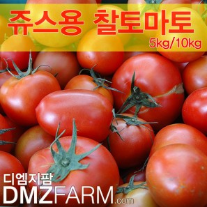 못난이 철원김화민들레 찰토마토-10kg